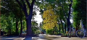 Заморозки и штормовое: какая погода будет в Одессе в эти выходные