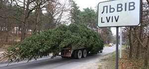 У центрі Львова встановили головну ялинку міста: фото і відео 