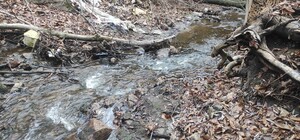 У Запоріжжі виявили струмок, забруднений нафтопродуктами