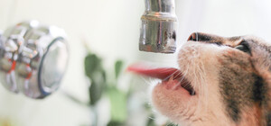 На следующей неделе в Днепре будут отключать воду должникам: адреса домов