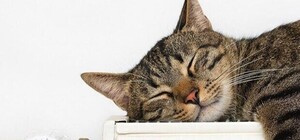 Стало відомо, коли у Запоріжжі завершиться опалювальний сезон