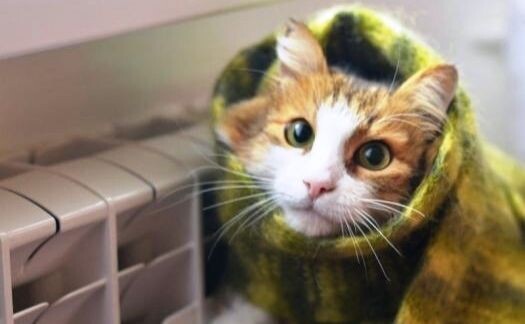 Отримай відповідь: коли в Одесі й Одеській області завершиться опалювальний сезон