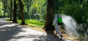 У львівських парках розпочали обробку від кліщів: графік на травень