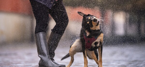 Возьмите зонтик: в Днепре прогнозируют дожди на 9 мая