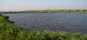 В Одесской области расторгли договор на расчистку русла реки Барабой: причина