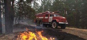 Вслед за харьковчанами в лес запретят ходить всем украинцам