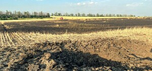 Окупанти спалили ще одне поле із пшеницею у Харківській області