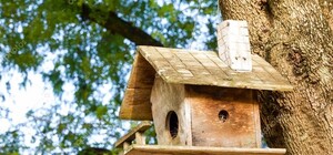 На Львівщині під час встановлення відеопастки затримали російську інформаторку 