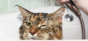 Сделайте запасы раньше времени: часть левого берега Днепра останется без воды почти на двое суток