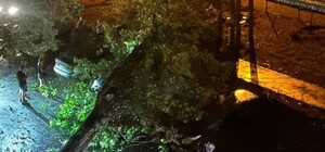 В Днепре ураган валил остановки, сносил столбы и дорожные знаки.