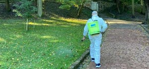 Цього тижня парки Львова оброблятимуть від кліщів: графік