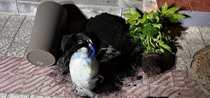 У Львові двоє неповнолітніх на замовлення Росії намагалися підірвати будинок військового 