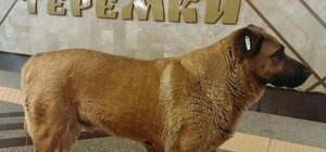 На станцию метро 