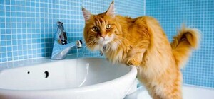 В части Одессы весь день не будет воды: когда и по каким адресам