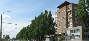 В Запорожье вырубают 37 деревьев ради обустройства парковочных карманов