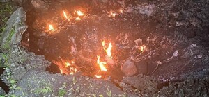 Понад 20 ударів: окупанти обстріляли ферму на Харківщині, загинуло 13 тисяч тварин