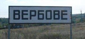 ЗСУ спростували інформацію про окупацію Вербового (відео)