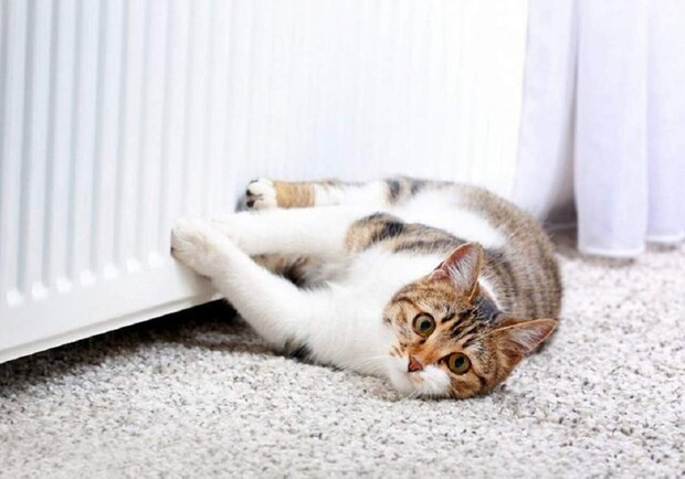 Коли в Україні стартує опалювальний сезон 2025-2026: дати, умови та особливості. 