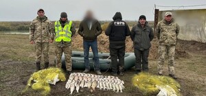 В Одесской области разоблачили браконьера: чем он навредил окружающей среде