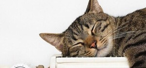 Коли у Запоріжжі розпочнеться опалювальний сезон: графік робіт по районах