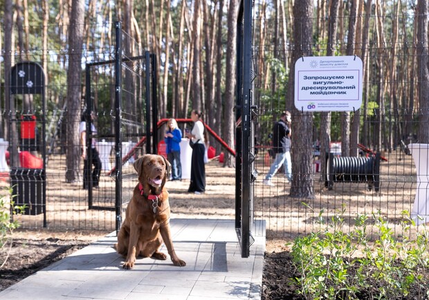 В Запорожье создали специальные площадки для выгула собак по всем районам города. 