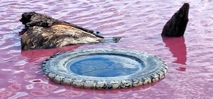 На Одесчине покраснел пруд: что говорят экологи