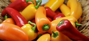 Где в эти выходные в Киеве пройдут продуктовые ярмарки. Адреса