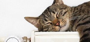 У Дніпрі офіційно розпочався опалювальний сезон: хто буде з теплом в першу чергу