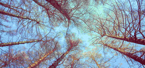 До 14 градусов тепла: какая погода будет в Харькове в эти выходные