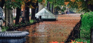 Туманно-дождливый ноябрь: какая погода будет в Одессе на следующей неделе