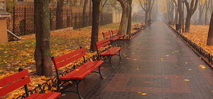 Считанные дни до зимы: какая погода будет в Одессе на этой неделе