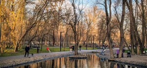 С ночным морозцем: какая погода будет в Харькове в последние выходные ноября