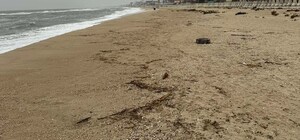 В Одесской области обнаружили загрязнение побережья: где именно и чем