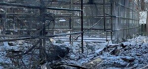 РФ обстріляла екопарк під Харковом: поранено волонтерку, загинули пернаті