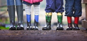 Посевный календарь на март 2026 года: что делать в саду и огороде