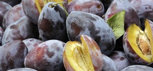 Где в эти выходные в Киеве пройдут продуктовые ярмарки. Адреса