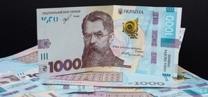Зимняя поддержка в Запорожской области: кто получит 19400 грн и где подать заявление