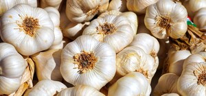 Де цими вихідними у Києві пройдуть продуктові ярмарки. Адреси