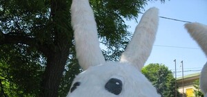 На площади Свободы поселился Карабас-Барабас и четырехметровые кролики