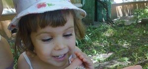 Видеофакт: Дончане спасли пятерых крохотных ежат 