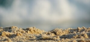 Донецкая санстанция снимает запрет на купание в море