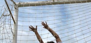 Областная власть: 