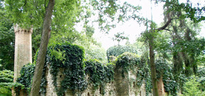 Гонки на джипах по Волынским лесам: экологи просят харьковчан остановить безумство