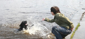 За купание собак в киевских фонтанах накажут рублем