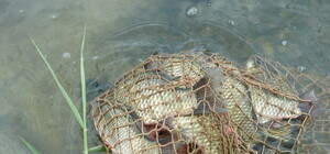 Донецкие рыбаки: 