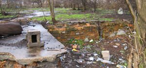 Страсти вокруг парка Пушкина накаляются 