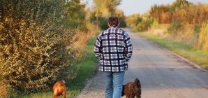 В Шевченковском и Оболонском районах устраивают облавы на собачников