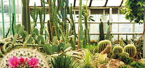 Запорожские герои независимой Украины: Ботанический сад, 