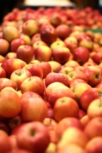 "В городе" узнал у запорожцев, отмечают ли они яблочный спас. Фото scx.hu.