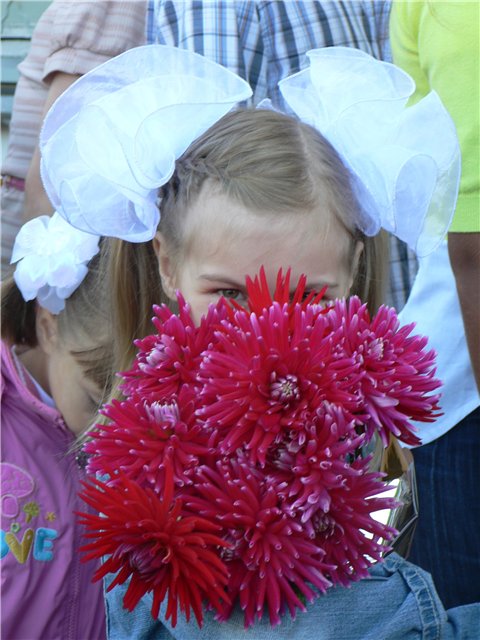 Родители искали цветы на первое сентября. Фото mamatata.ru